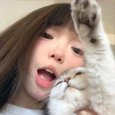 夏绿蒂的网